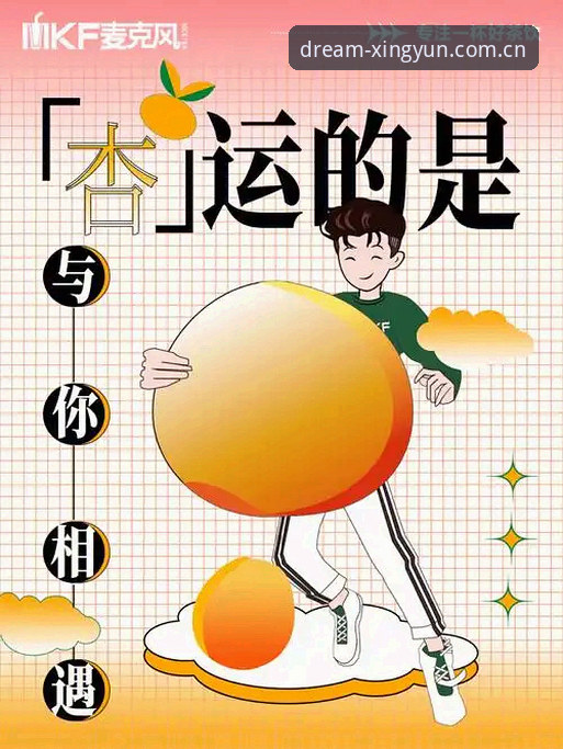 杏运平台官网注册 vs 普通通道：哪个更靠谱？新手选择对比指南