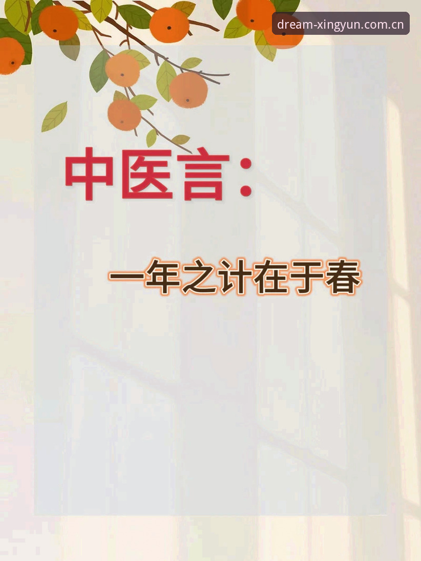 杏运平台注册实用指南：从下载到入门的必备知识